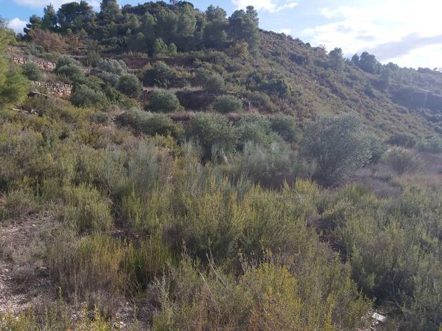 Terreno en Venta en L'Albagés
