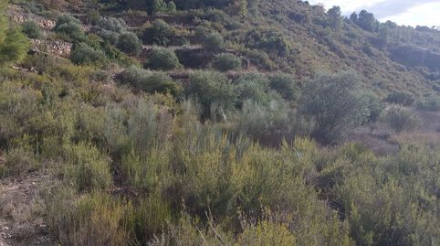Finca Rúst. en venta en Albagés (L`).