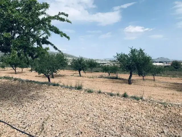 Terreny residencial en venda a La Romana, imagen 15