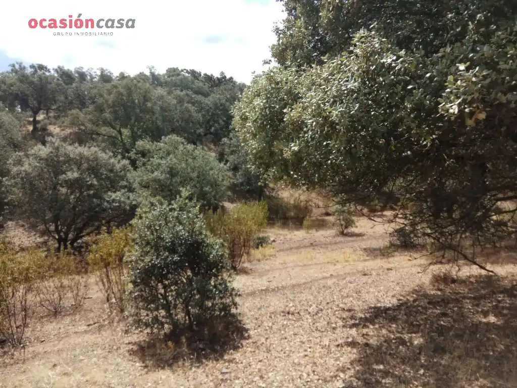 Finca rústica en venta en Villanueva del Duque
