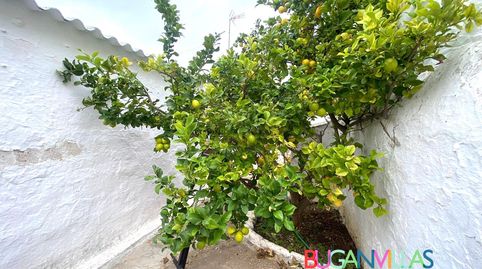 Photo 2 of Houses for sale in Calle Galdames, Ayamonte ciudad, Ayamonte