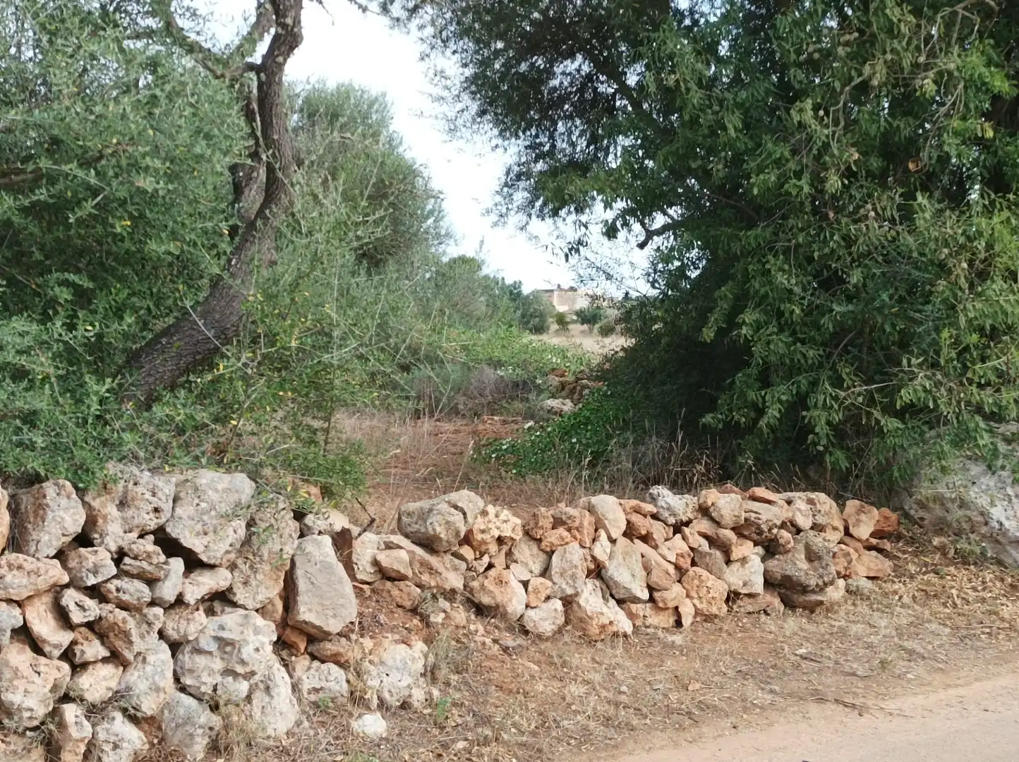 Rustikales Grundstück zum Verkauf in Zona Rústica - Interior, imagen 17