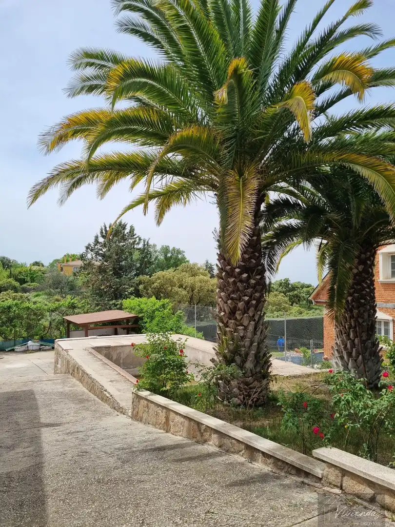 Terraza de Casa o chalet de alquiler en Villaviciosa de Odón con Calefacción, Terraza y Trastero