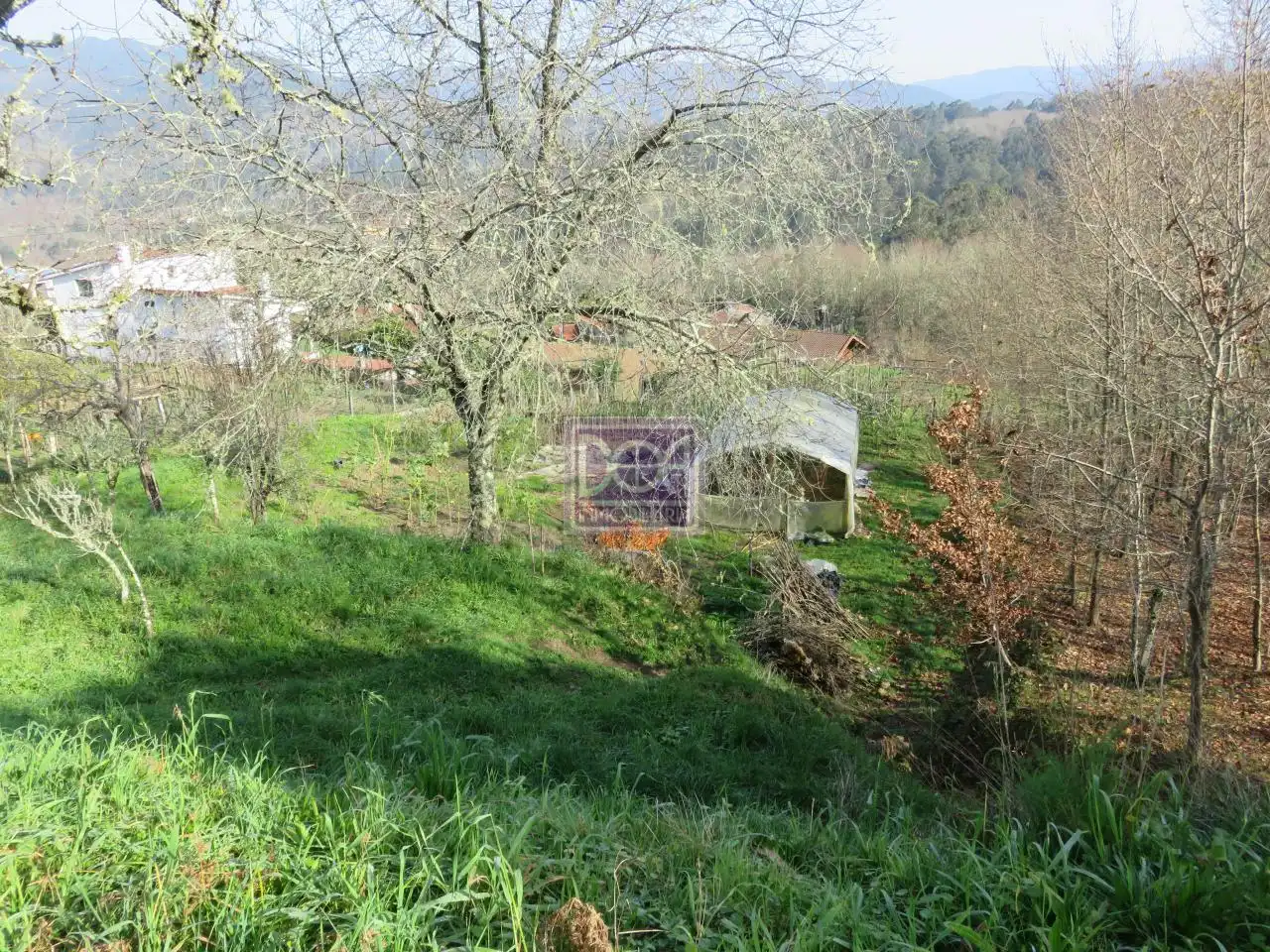 Lands and plots for sale in Mondariz, imagen 5