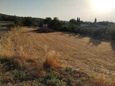 Terreno rustico in vendita a Cabra