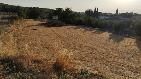PARCELA RUSTICA MUY CERCA DE CABRA