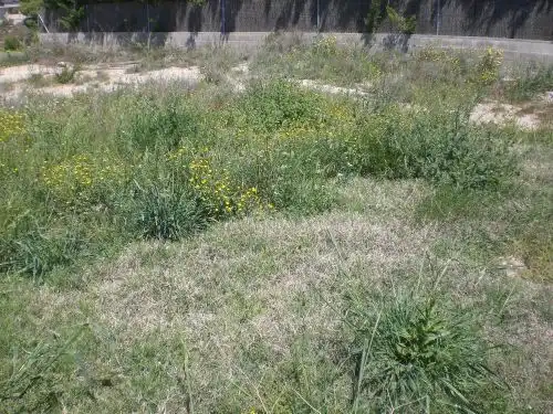 Residential land for sale in Cervera