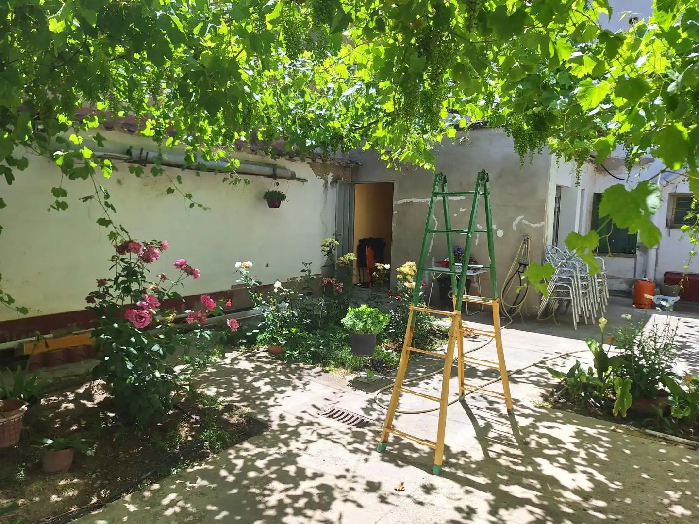 Jardín de Casa adosada en venta en Zaragoza con Terraza