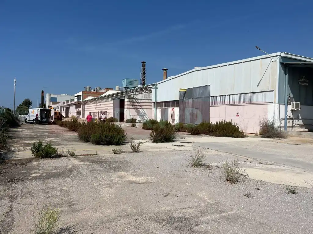 Industrial building for sale in Diseminados Poligon 39, imagen 33