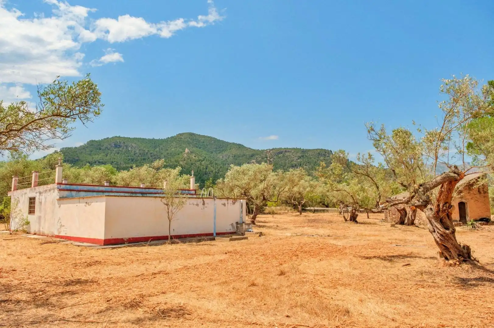 Casa o xalet en venda en Tortosa amb Jardí privat