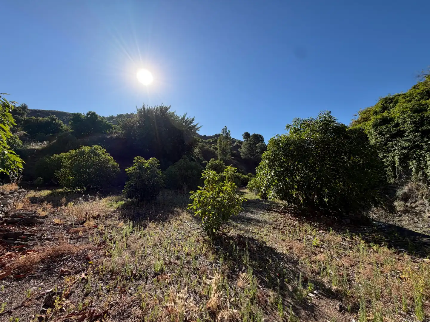 Finca rústica en venta en Yunquera con Jardín privado, Piscina y Amueblado