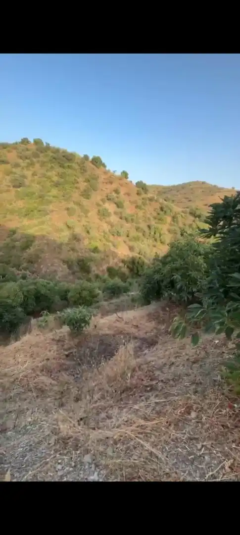 Rural land for sale in Sedella, imagen 4