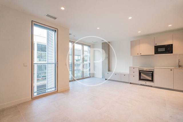 Piso en Alquiler en C. de Sánchez Pacheco, 95 en Ciudad Jardín