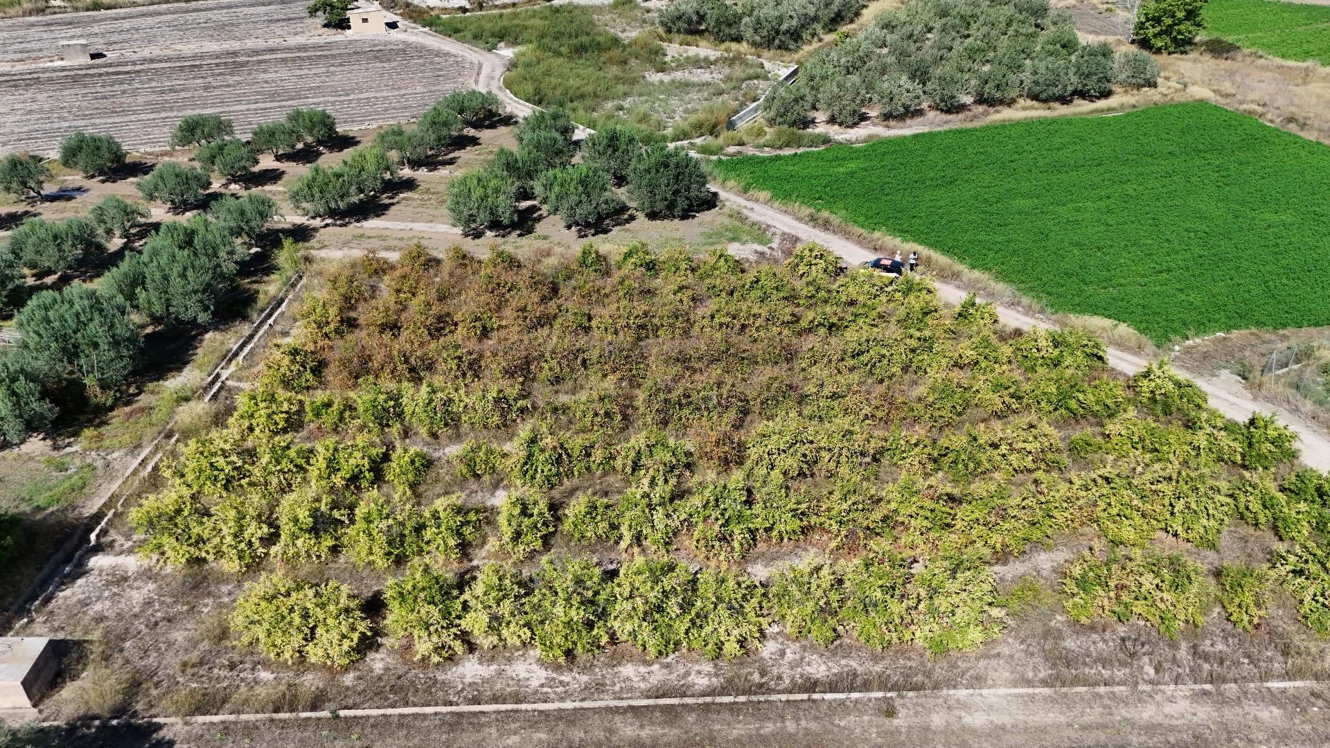 Land for sale in Llíria