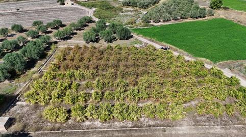 Photo 3 of Land for sale in Urbanizaciones, Valencia