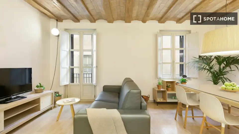 Flat with terrace to rent in Ciutat Vella, imagen 8