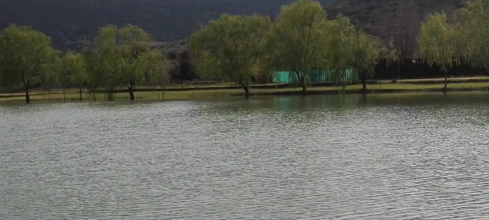 Swimming pool of Houses for sale in Malagón  with Air Conditioner, Heating and Private garden