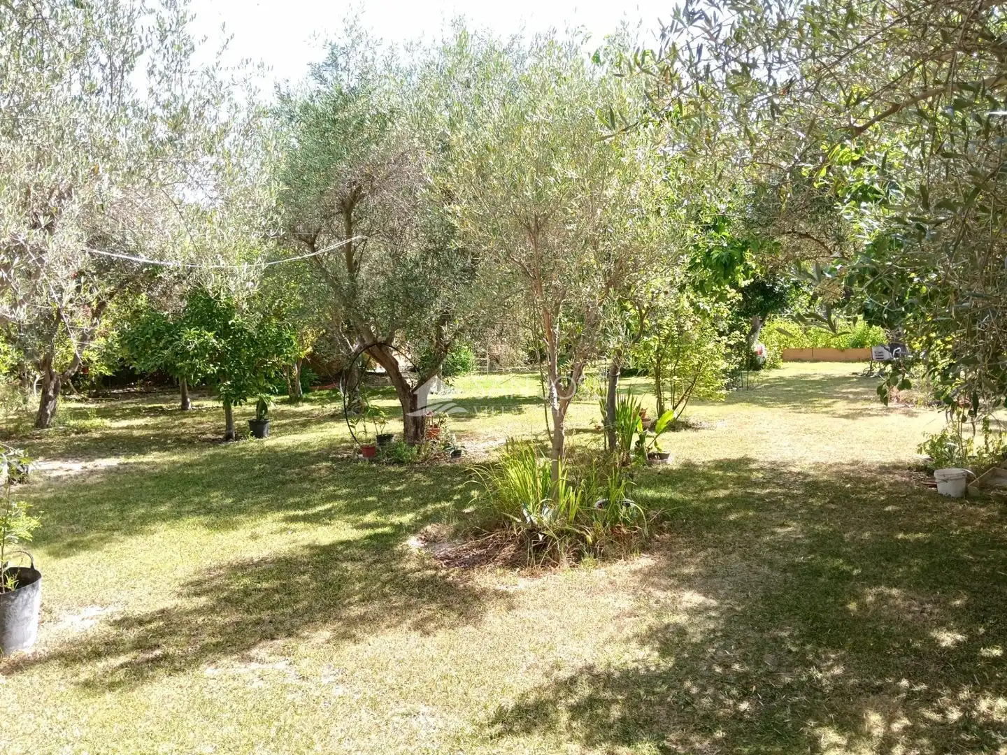 Villa mit Pool zum Verkauf in La Romana, imagen 32