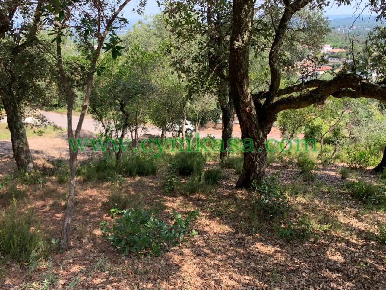 Terreny residencial en venda a Maçanet de la Selva pueblo, imagen 5