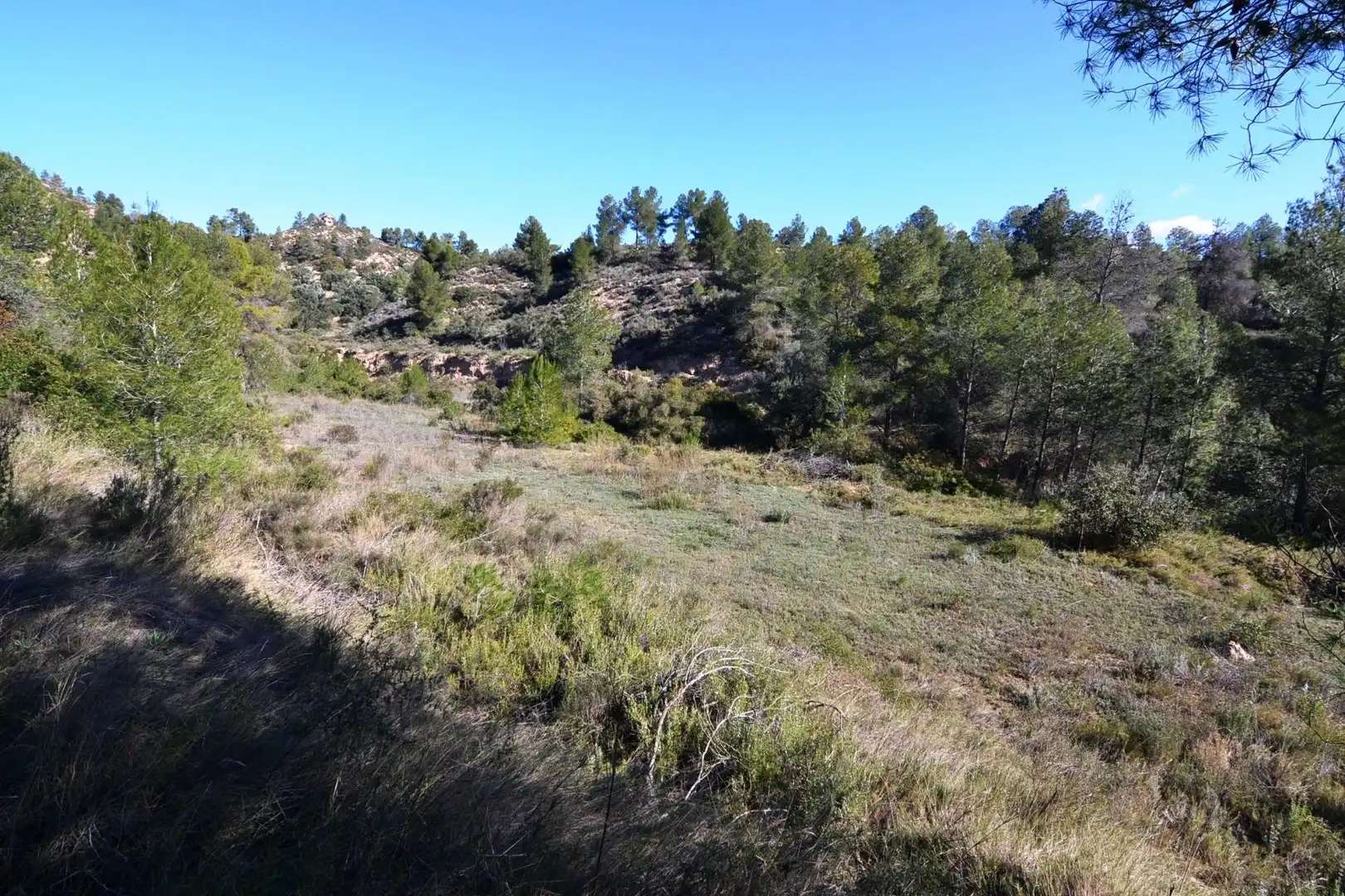 Rural land for sale in Ascó, imagen 14