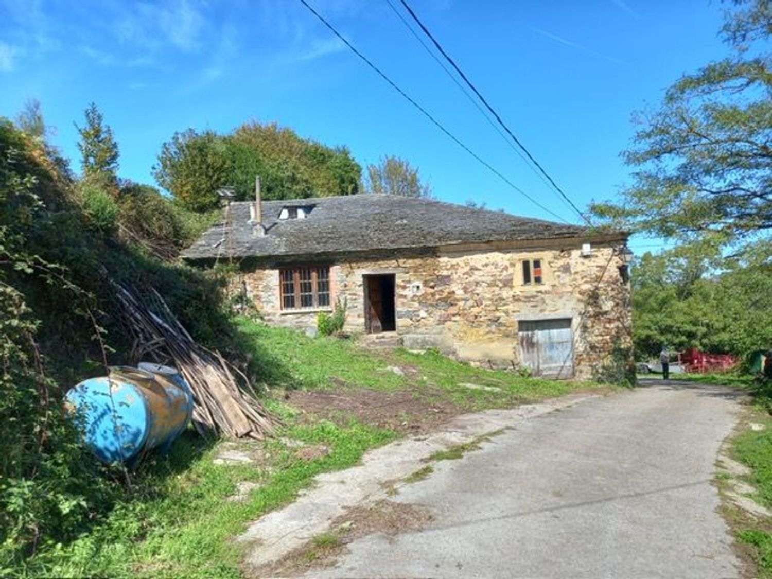 Vista exterior de Finca rústica en venda en Santa Eulalia de Oscos