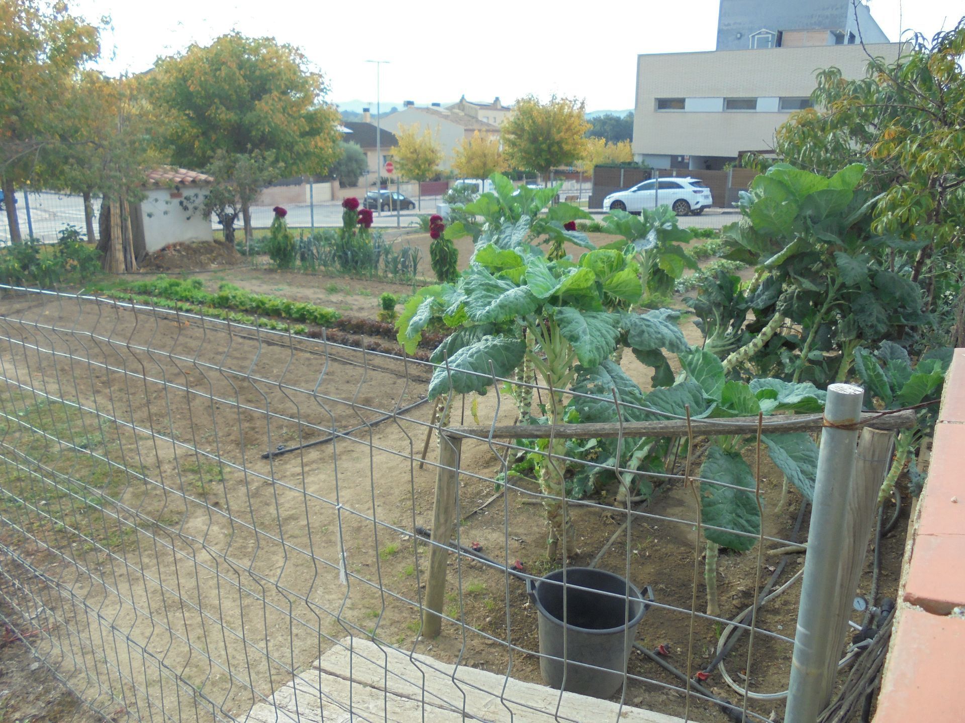 Garden of Residential for sale in Llagostera