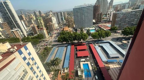 Magnífico apartamento en primera línea de mar en Benidorm  ideal para disfrutar y para invertirSe vende vivienda luminosa en la pl, imatge 3