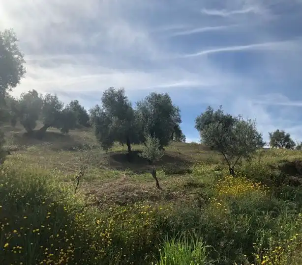 Terreno en venta en La Calzada