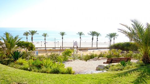 Foto 3 de Piso de alquiler en Playa Muchavista, El Campello