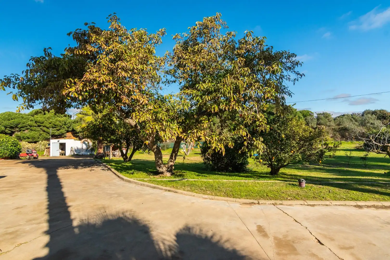 Finca rústica en venta en Lepe con Calefacción, Jardín privado y Terraza