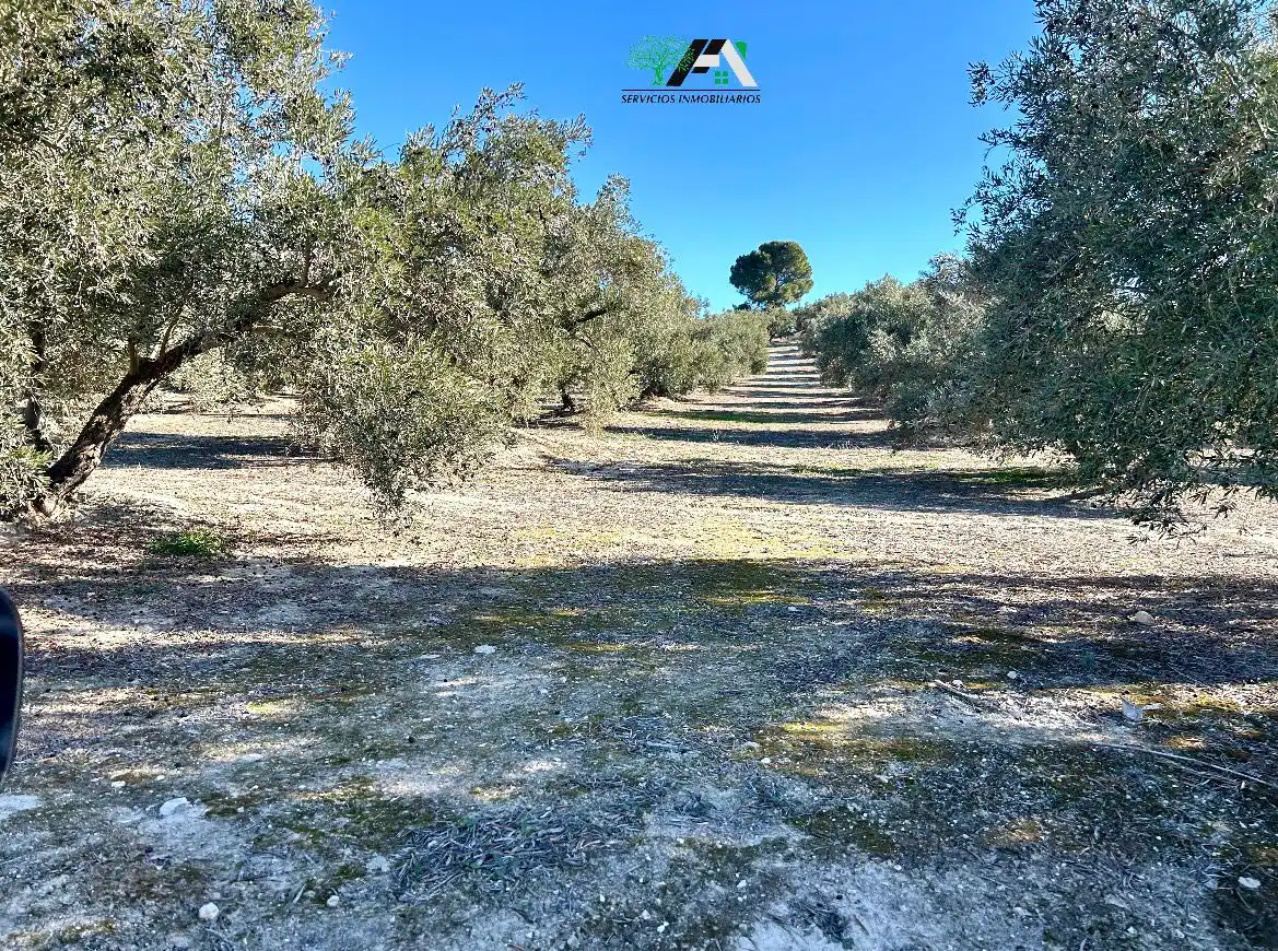 Terreni e lotti in vendita a Jódar, imagen 2