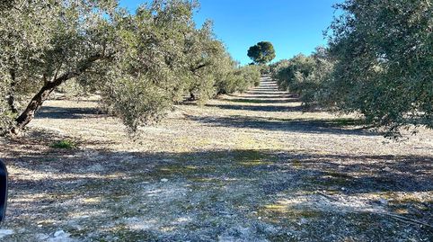 Terreno en venta en Cortijo Calancha, Jódar., immagine 2
