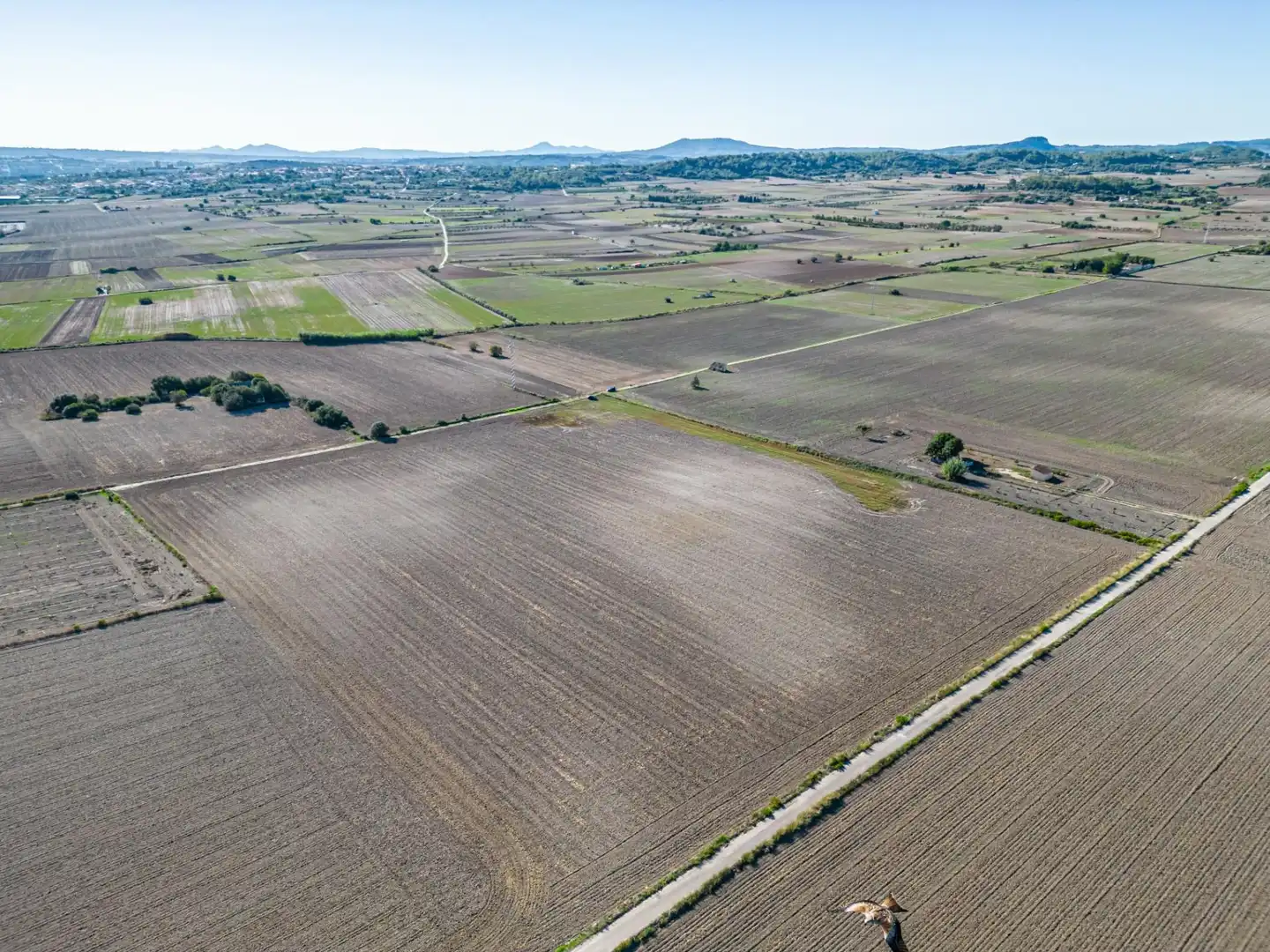 Residential land for sale in Maria de la Salut, imagen 16