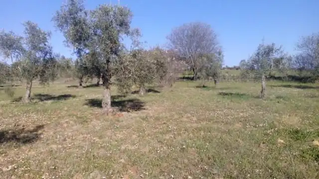 Residencial en venda en Valsequillo