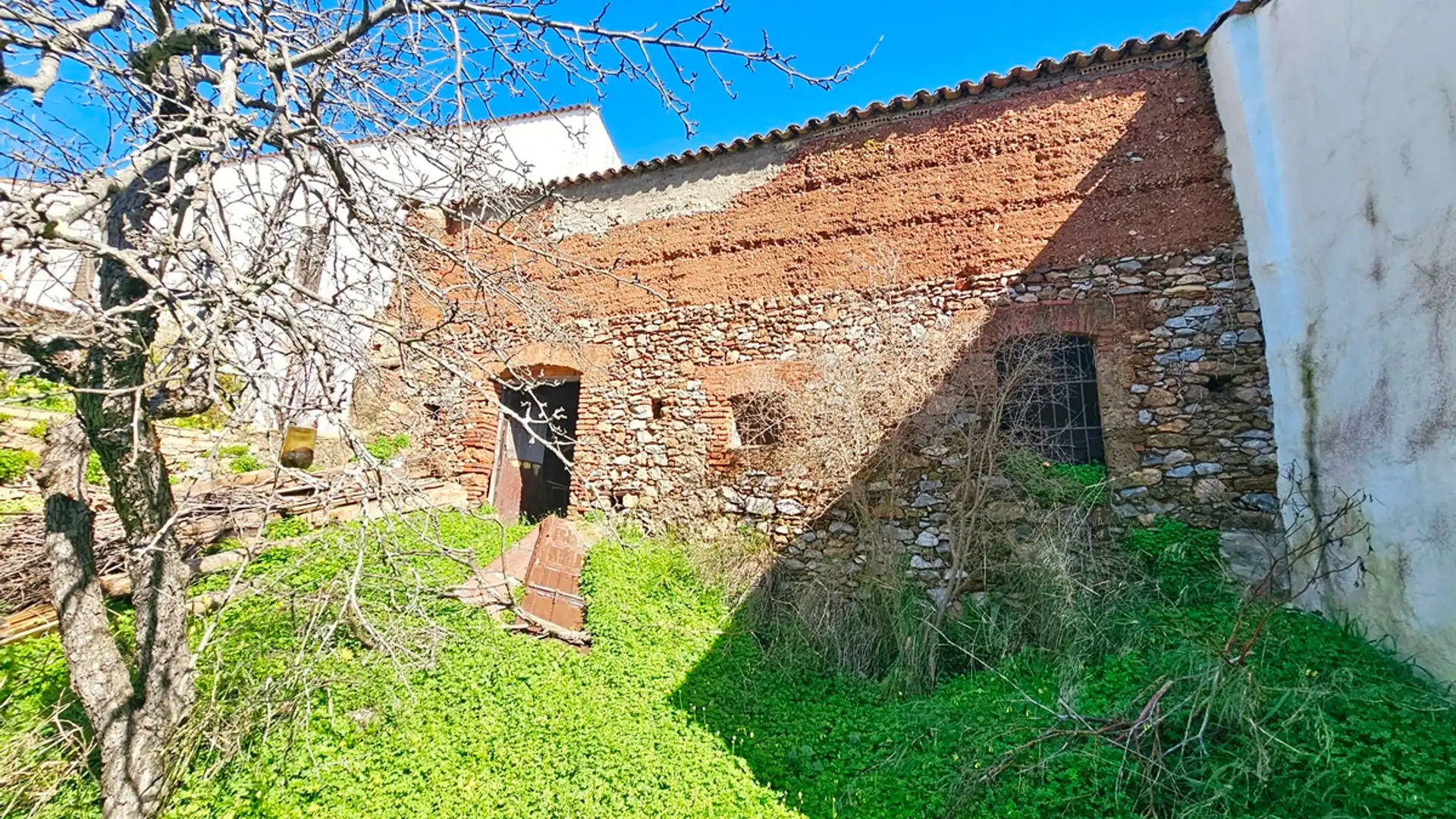 Vista exterior de Casa o chalet en venta en Cañaveral de León