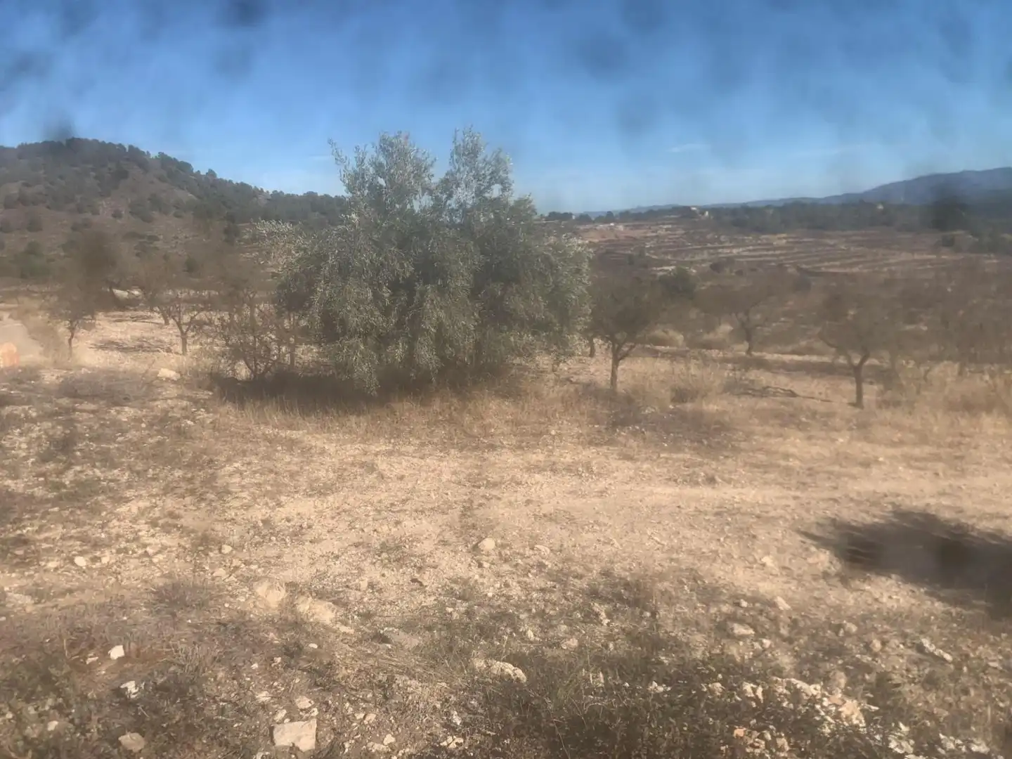 Casa o xalet en venda en Mula