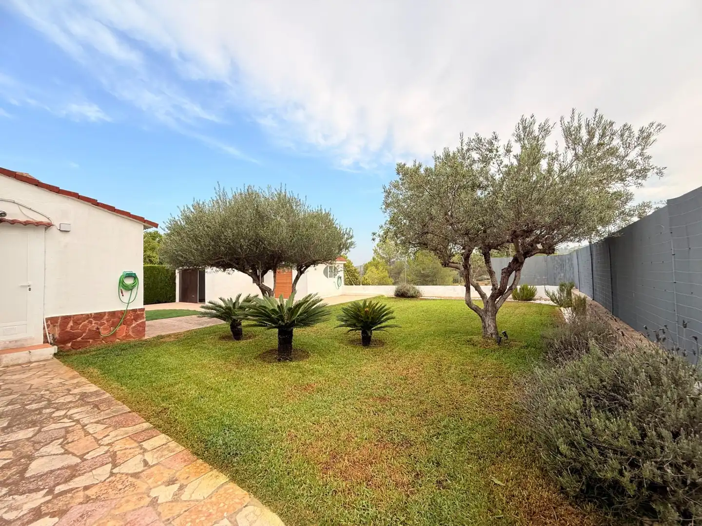 Jardín de Casa o chalet en venta en Carlet con Aire acondicionado, Calefacción y Jardín privado