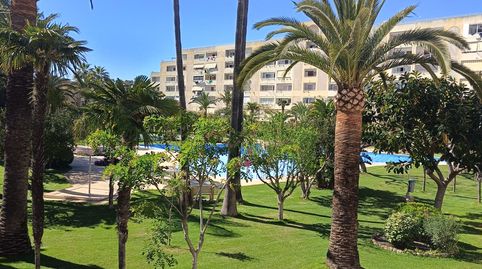 Foto 4 de Apartamento de alquiler en Avenida de la Constitució, Platja de la Pobla de Farnals, La Pobla de Farnals