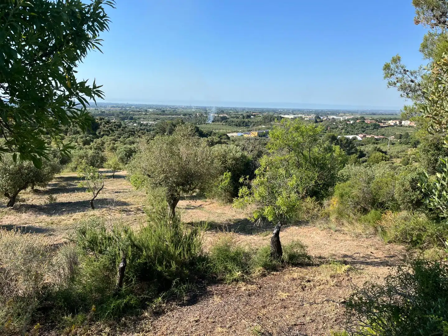 Rural land for sale in Carrer dels Jocs Olímpics 1, imagen 13