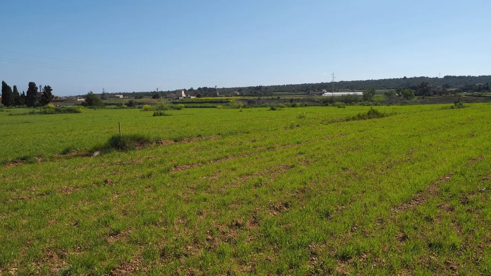 Maison rustique avec jardin à vendre à Sa Pobla, imagen 19