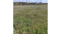 Land for sale in Casarrubios del Monte