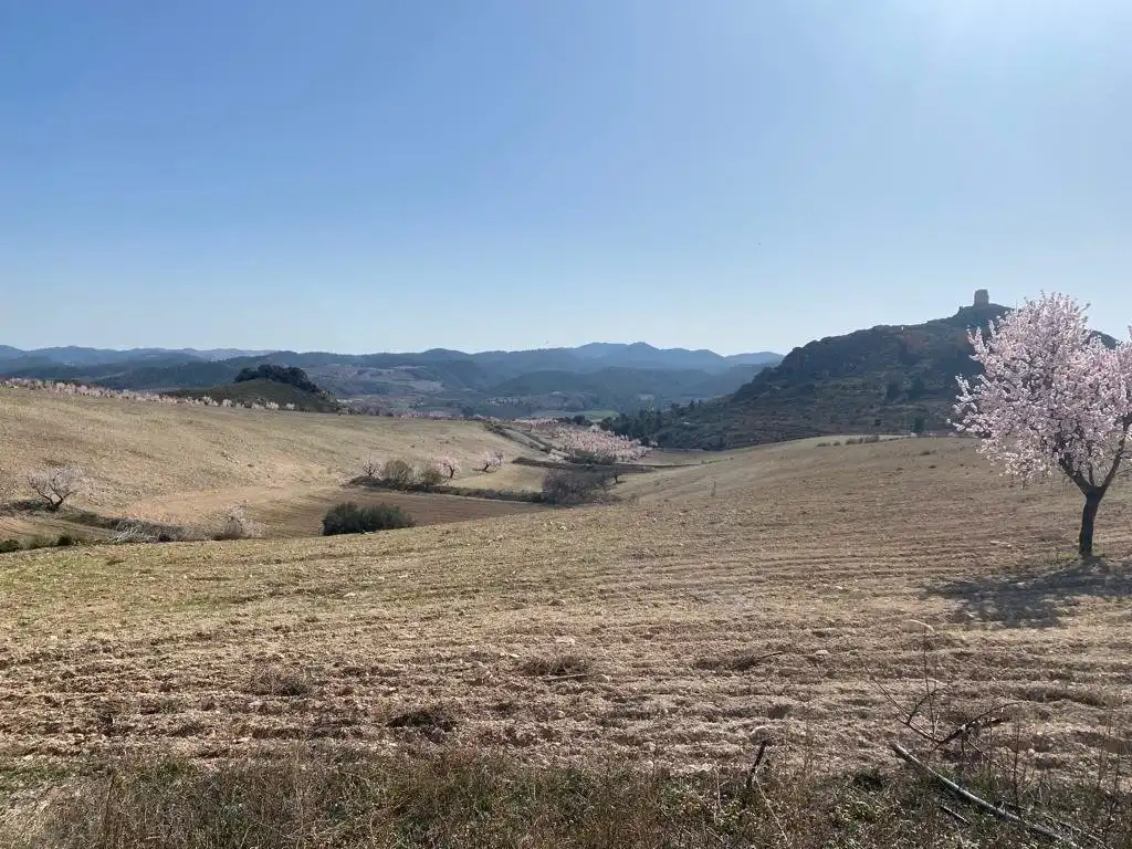 Finca rústica en venta en Lorca con Terraza