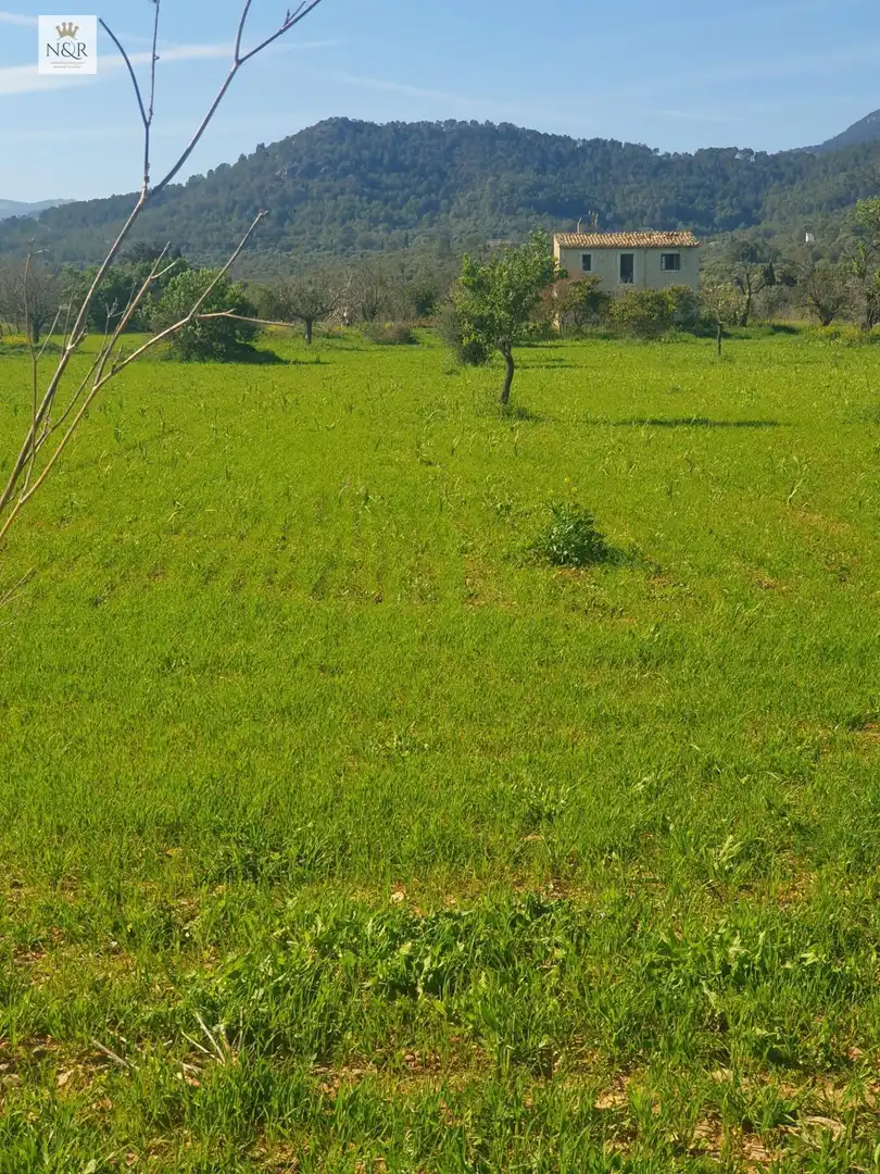 Land for sale in Binissalem