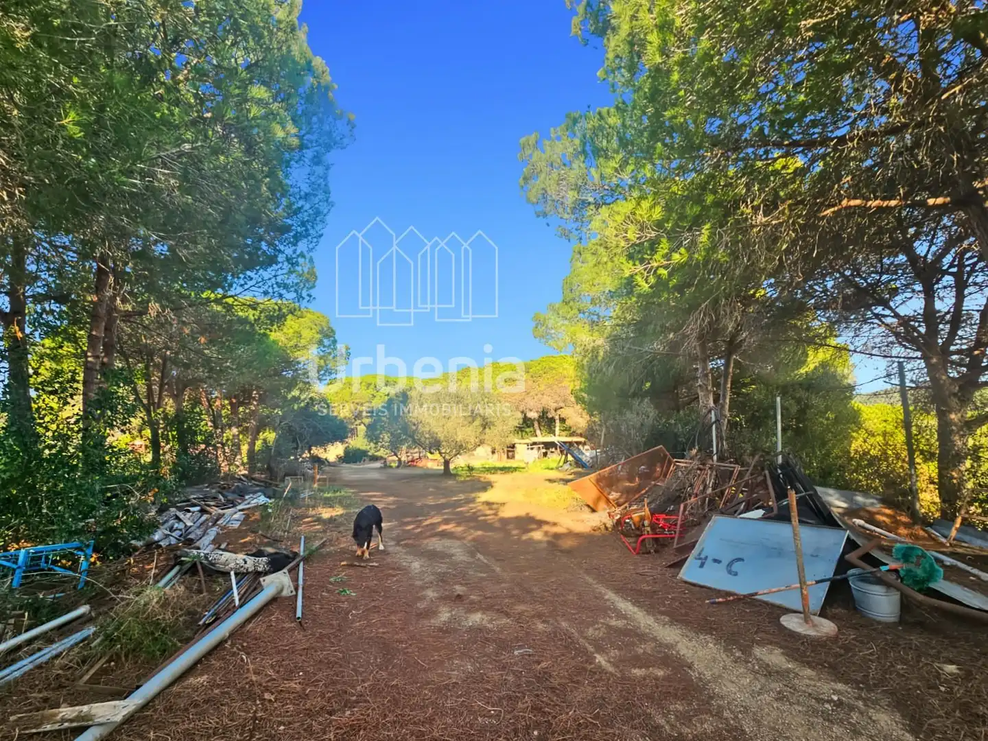 Casa o chalet en venta en Arenys de Mar