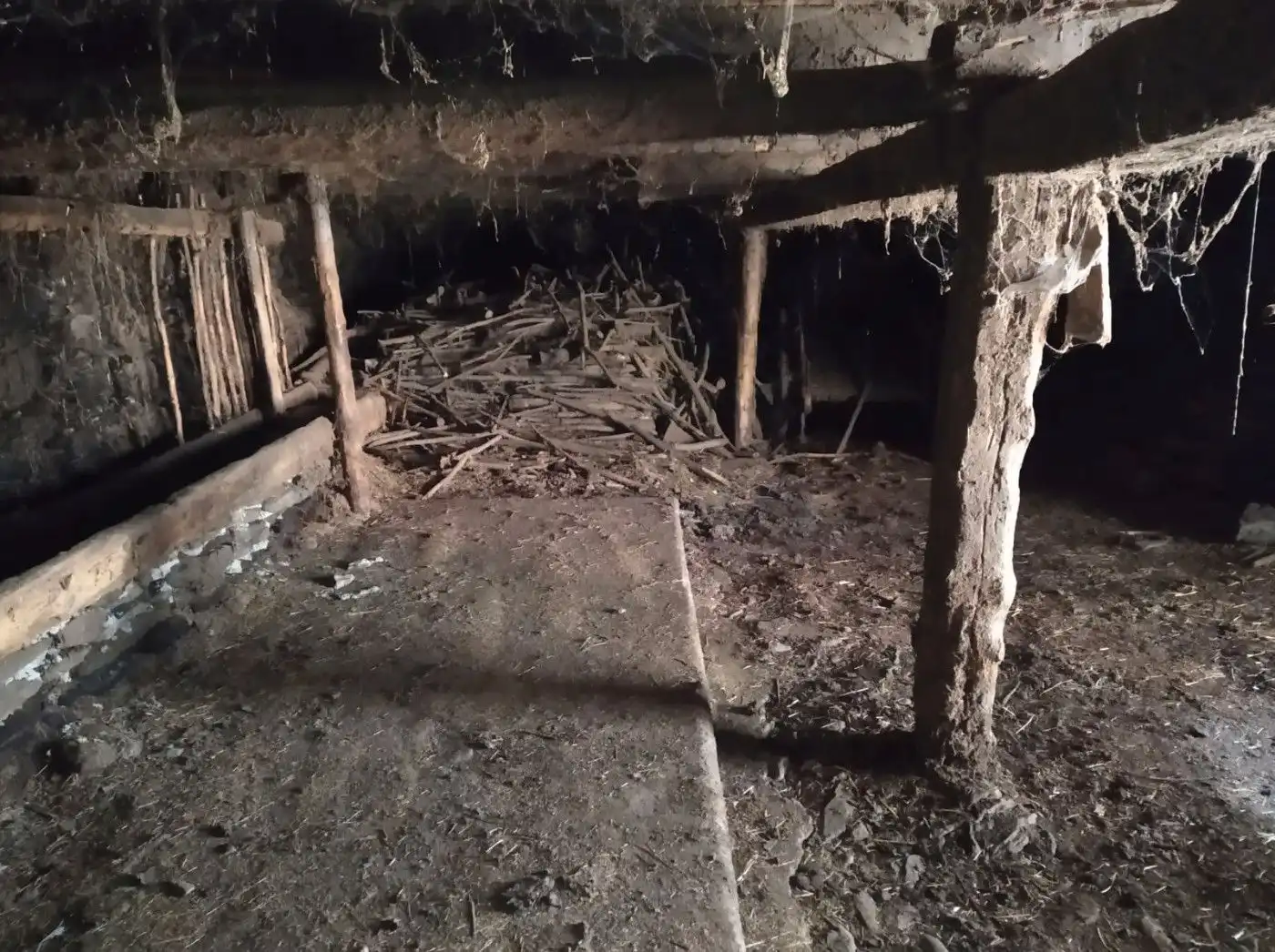 Casa o xalet en venda en Alins