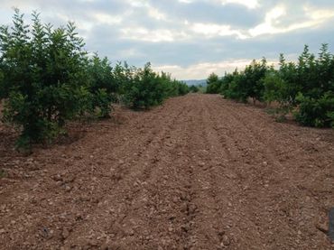 Terreno rústico en venta en Llano de la Paridera 576
