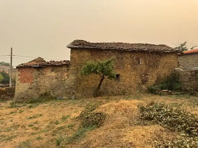 Vista exterior de Finca rústica en venta en Villardeciervos con Jardín privado