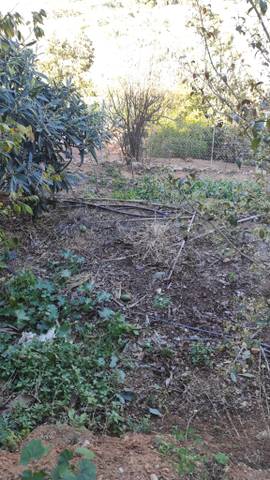 Terreno en Venta en Cotobro