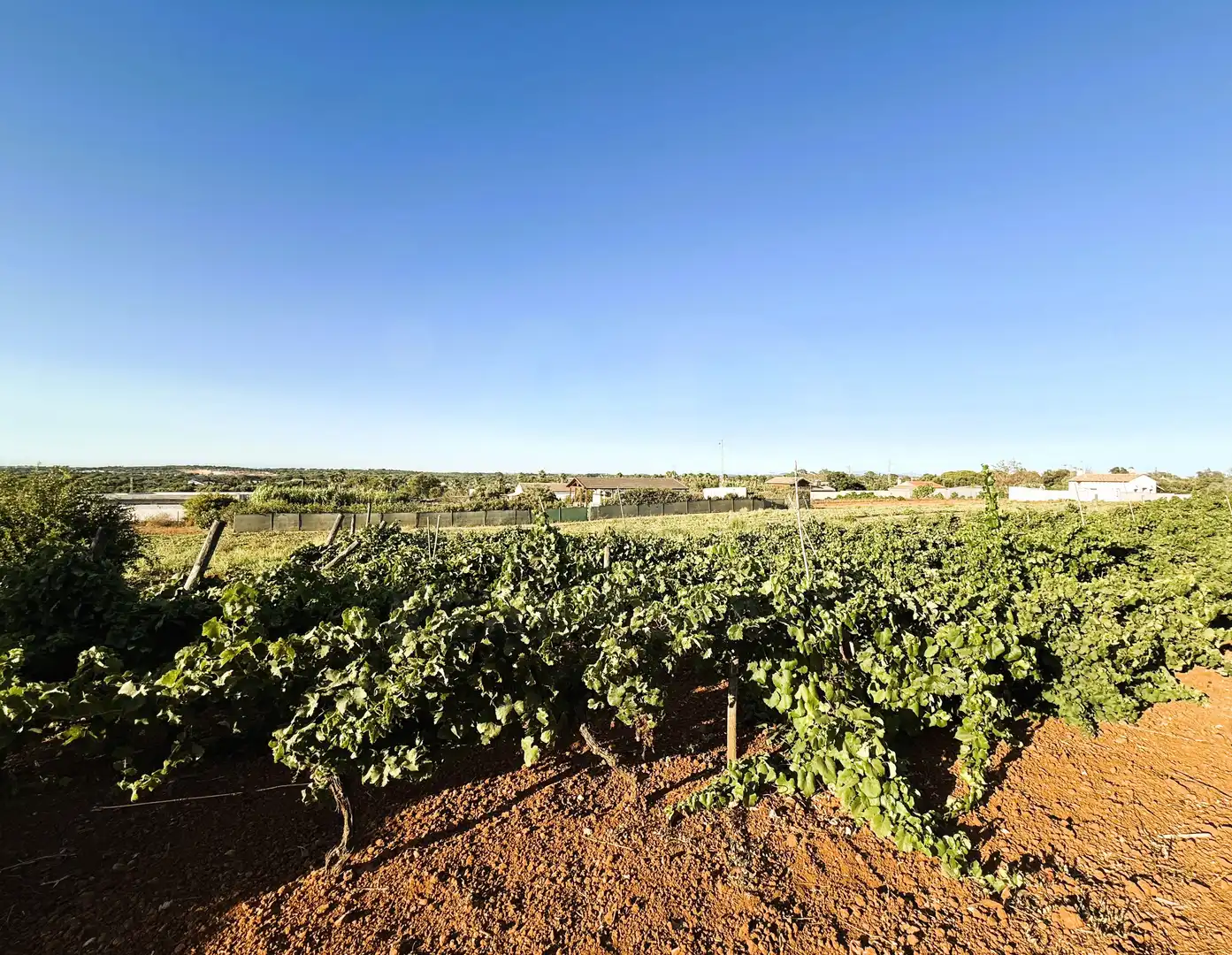 Terreni e lotti in vendita a DS PAGO MELILLA 536 POLIGONO 16 PARCELA 536, imagen 9