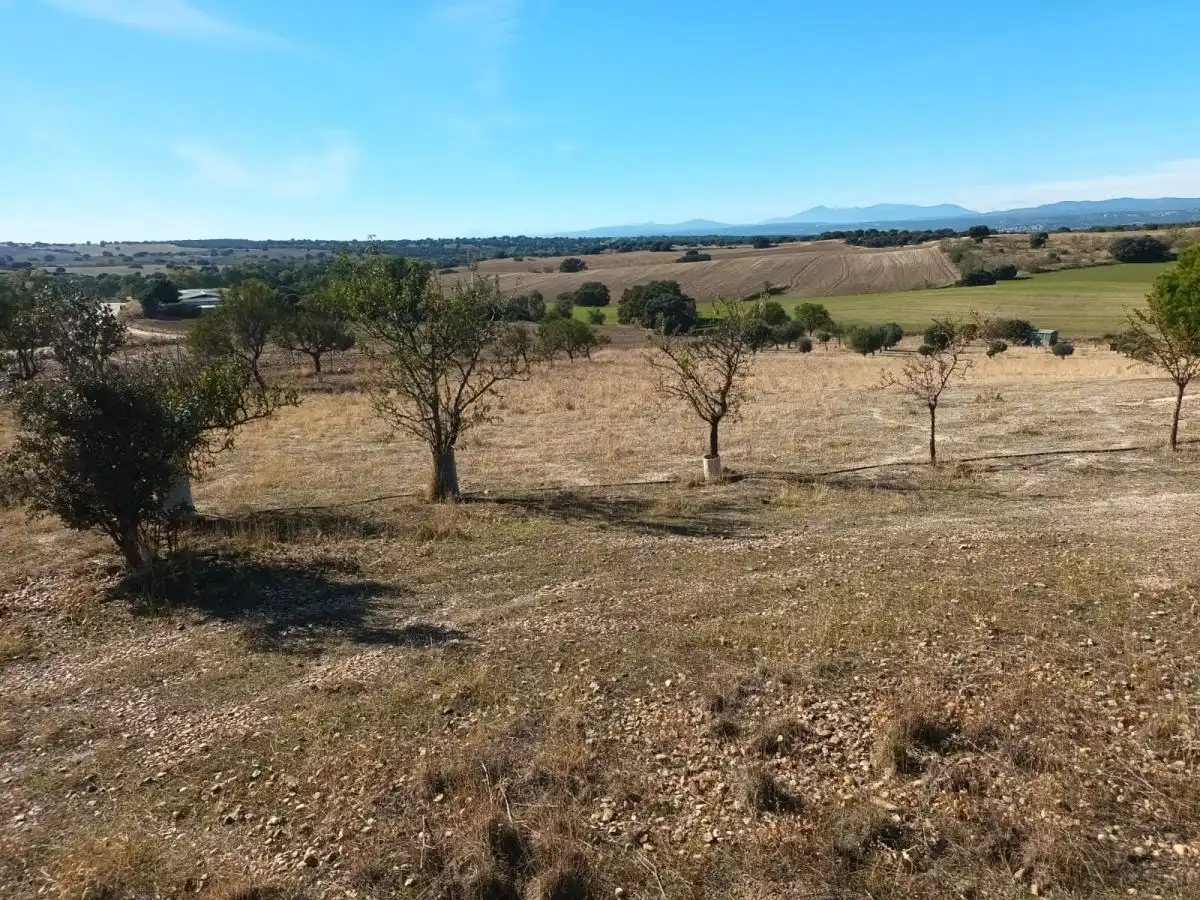 Finca rústica en venta en Brunete